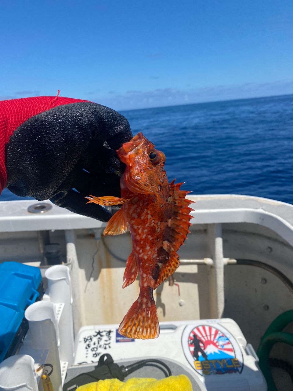 夢釣さんの釣果 2枚目の画像