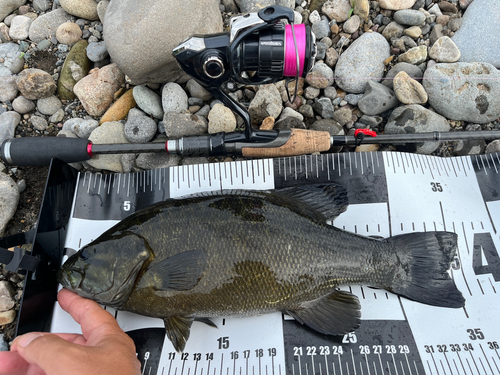 スモールマウスバスの釣果