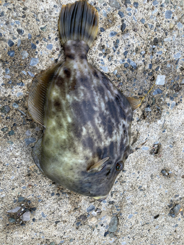 海辺つり公園