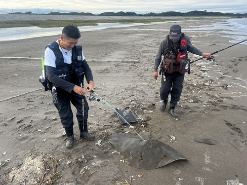 ツバクロエイの釣果