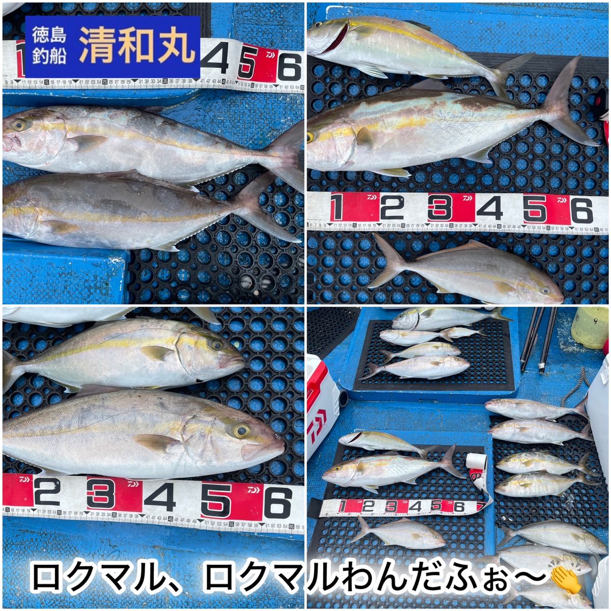 清和丸さんの釣果 3枚目の画像