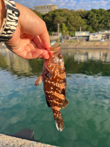 塩浜漁港