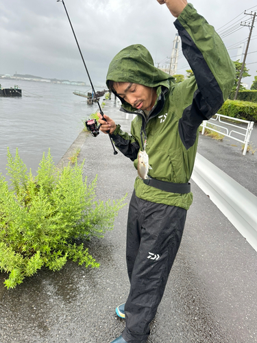 東京湾（アクアライン〜富津）