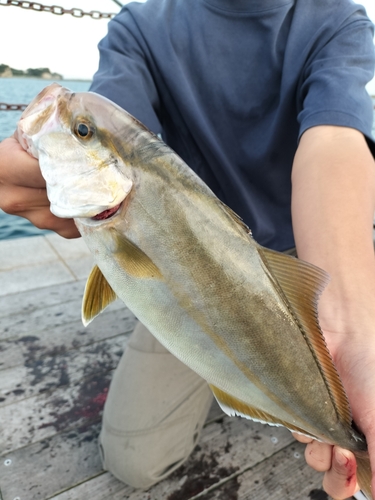 小名浜港アクアマリンふくしま周辺