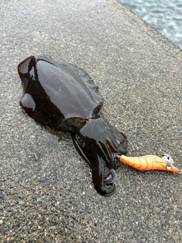 奈屋浦