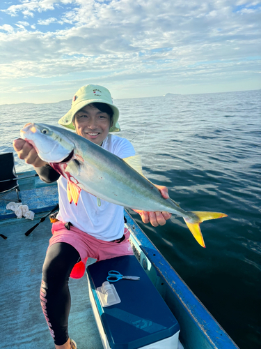 ワラサの釣果