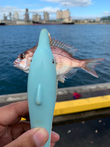 小名浜港アクアマリンふくしま周辺