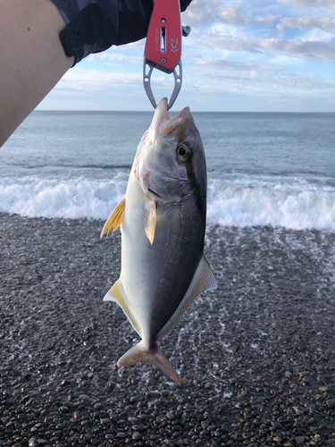 煙樹ヶ浜