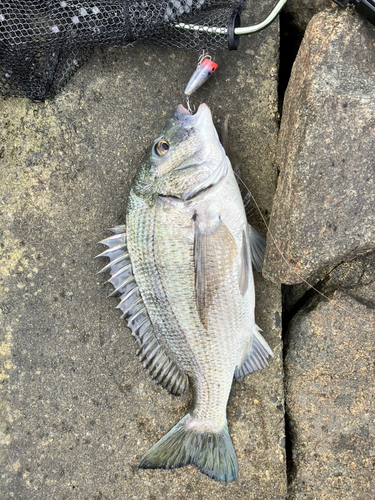 奥浜名湖