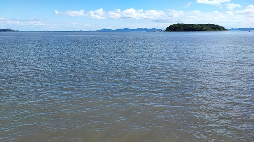 カニの釣果