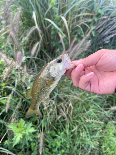 阿武隈川上流