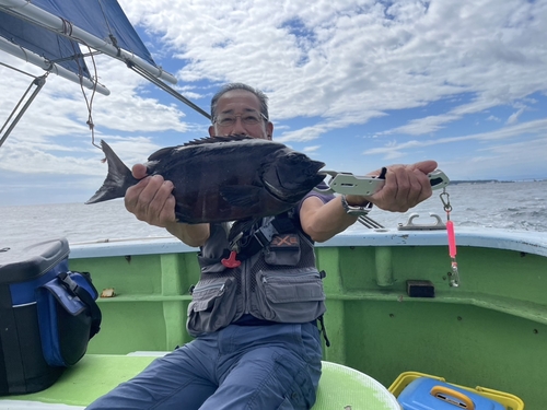 イシダイの釣果