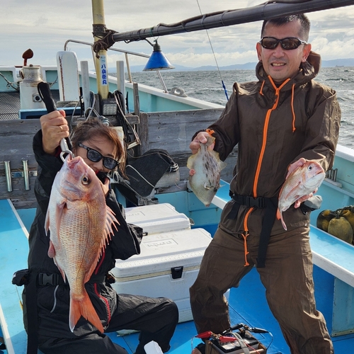 マダイの釣果