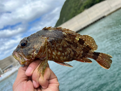 小伊津港