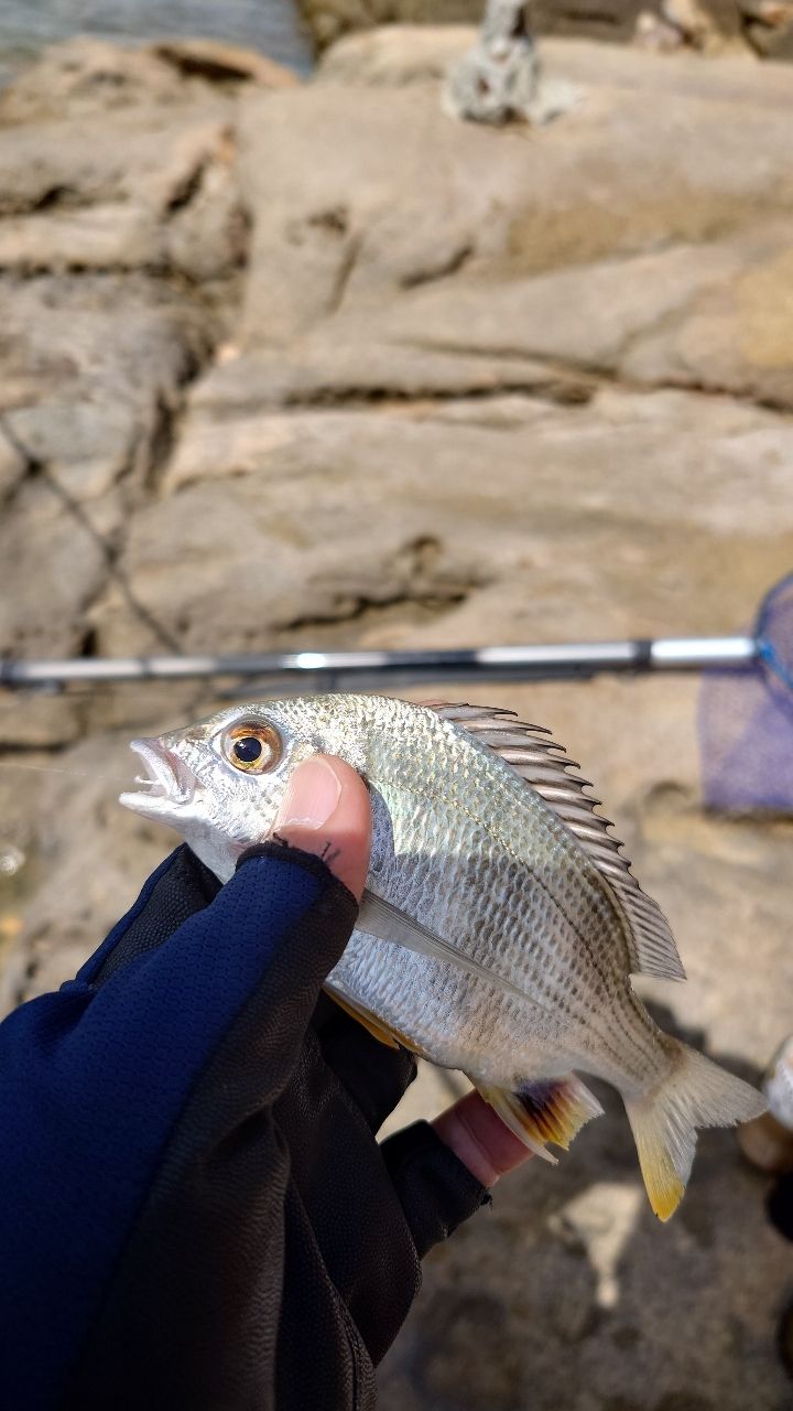 たけぞうさんの釣果 2枚目の画像