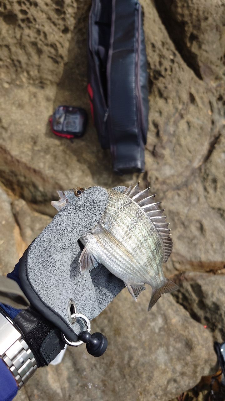 たけぞうさんの釣果 3枚目の画像