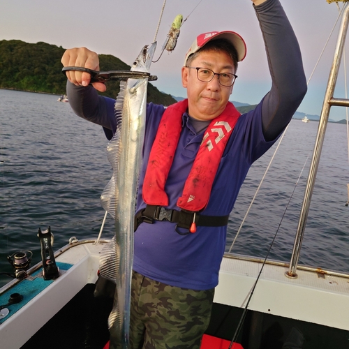 タチウオの釣果