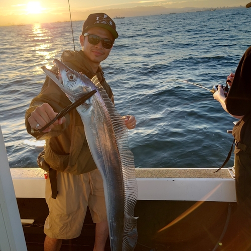 タチウオの釣果