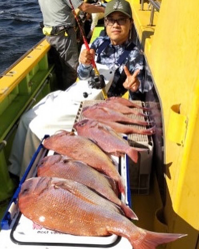 マダイの釣果