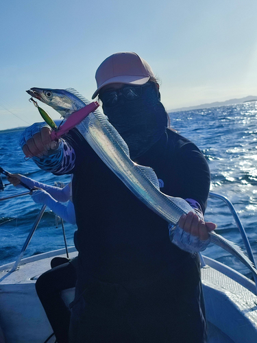 タチウオの釣果