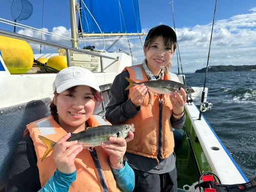 マアジの釣果