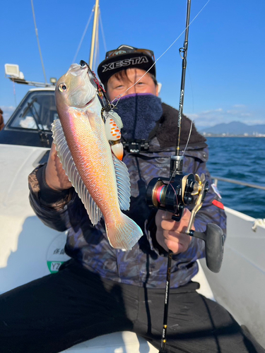 シロアマダイの釣果