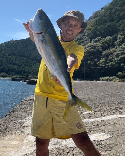 メジロの釣果