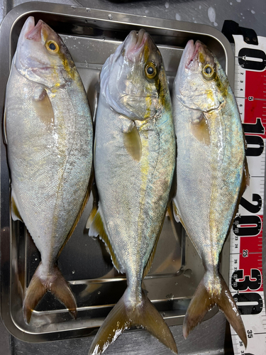 新地町海釣り公園