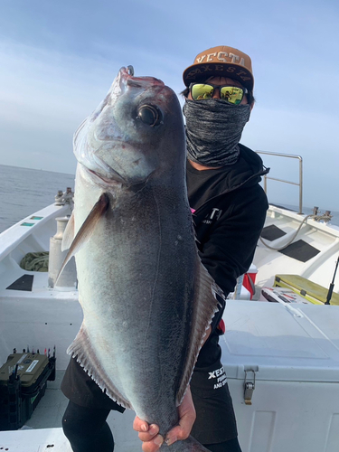 メダイの釣果