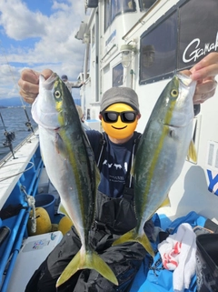 イナダの釣果