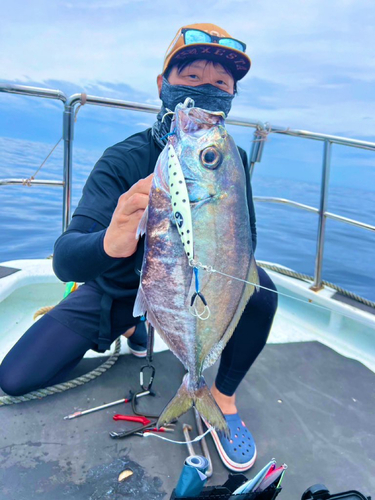 オキアジの釣果