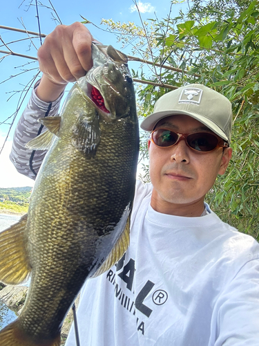 スモールマウスバスの釣果