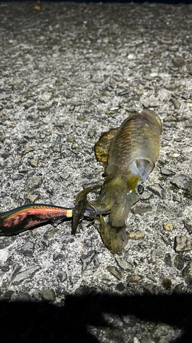 野見潮ばかり公園