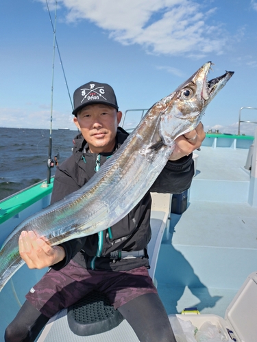 タチウオの釣果