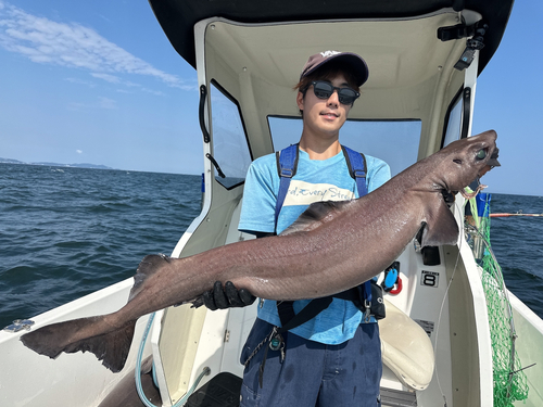 モミジザメの釣果