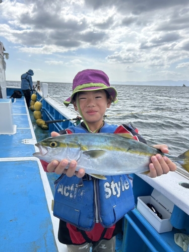 イナダの釣果