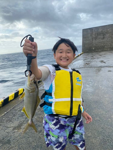 ショゴの釣果