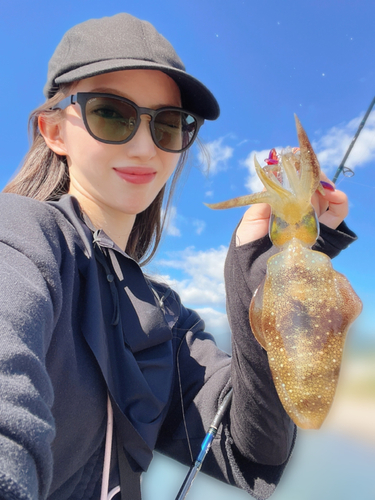 鹿児島湾