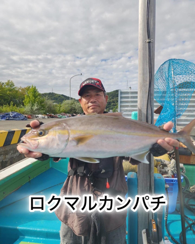 カンパチの釣果