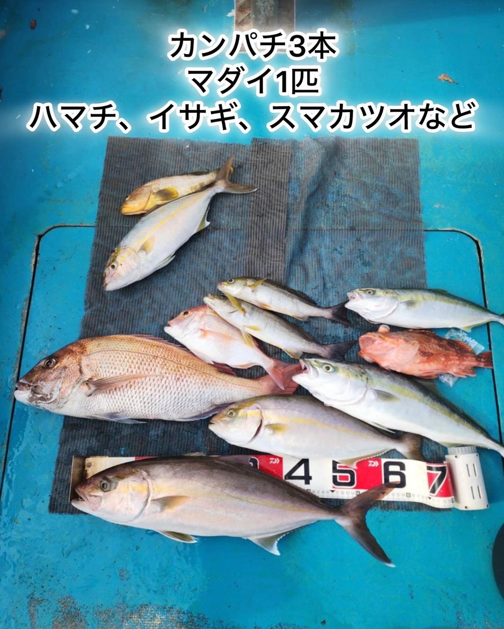 清和丸さんの釣果 2枚目の画像