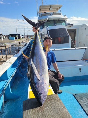 キハダマグロの釣果