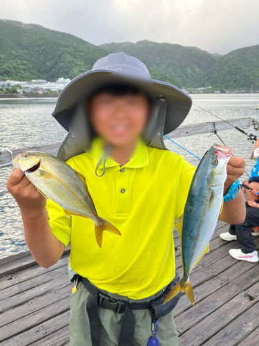 鹿児島湾北部