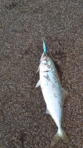 釜谷浜海水浴場