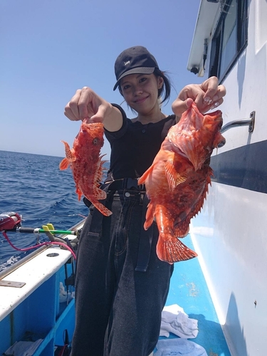 オニカサゴの釣果