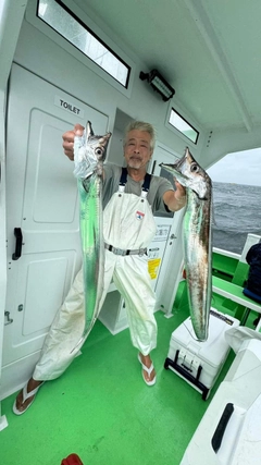 タチウオの釣果