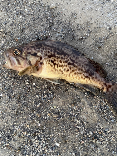 石狩湾新港