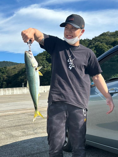 イナダの釣果