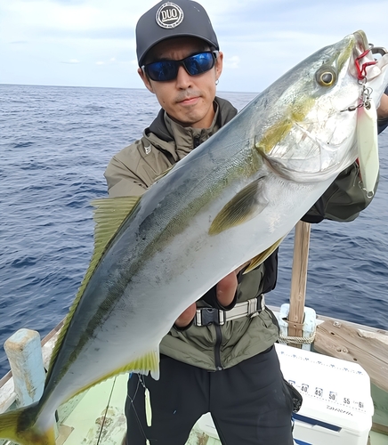 メジロの釣果