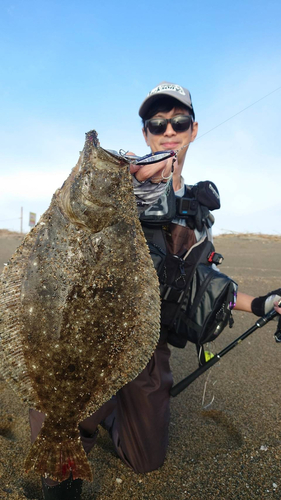 ヒラメの釣果