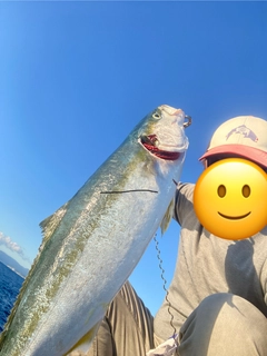 ブリの釣果